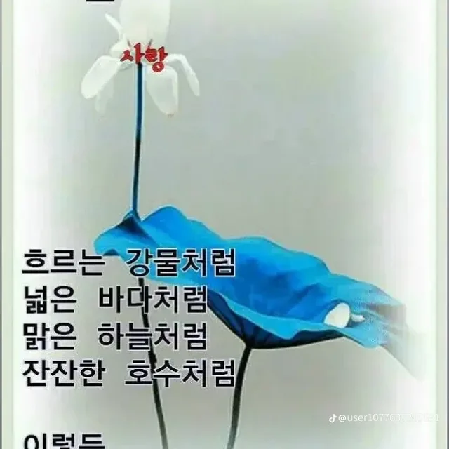 살랑살랑