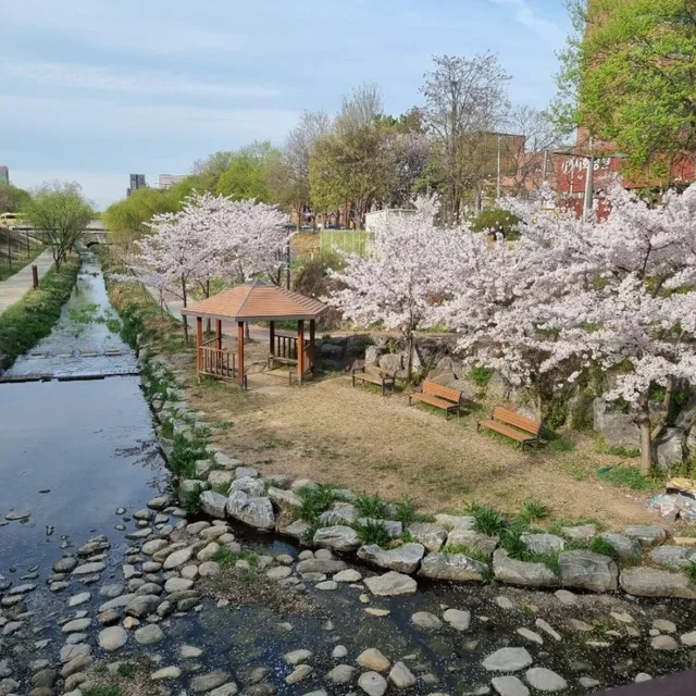 인플루언서