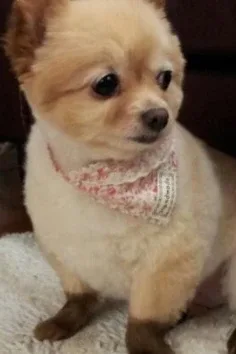 profile