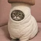 호호가