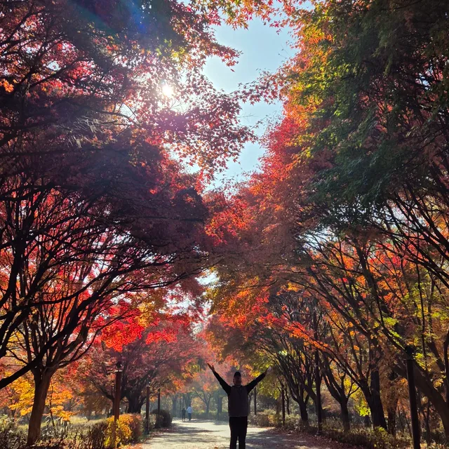 행복한V삶