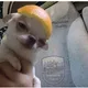 모찌롱