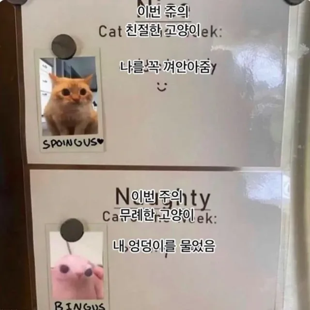 나랑이