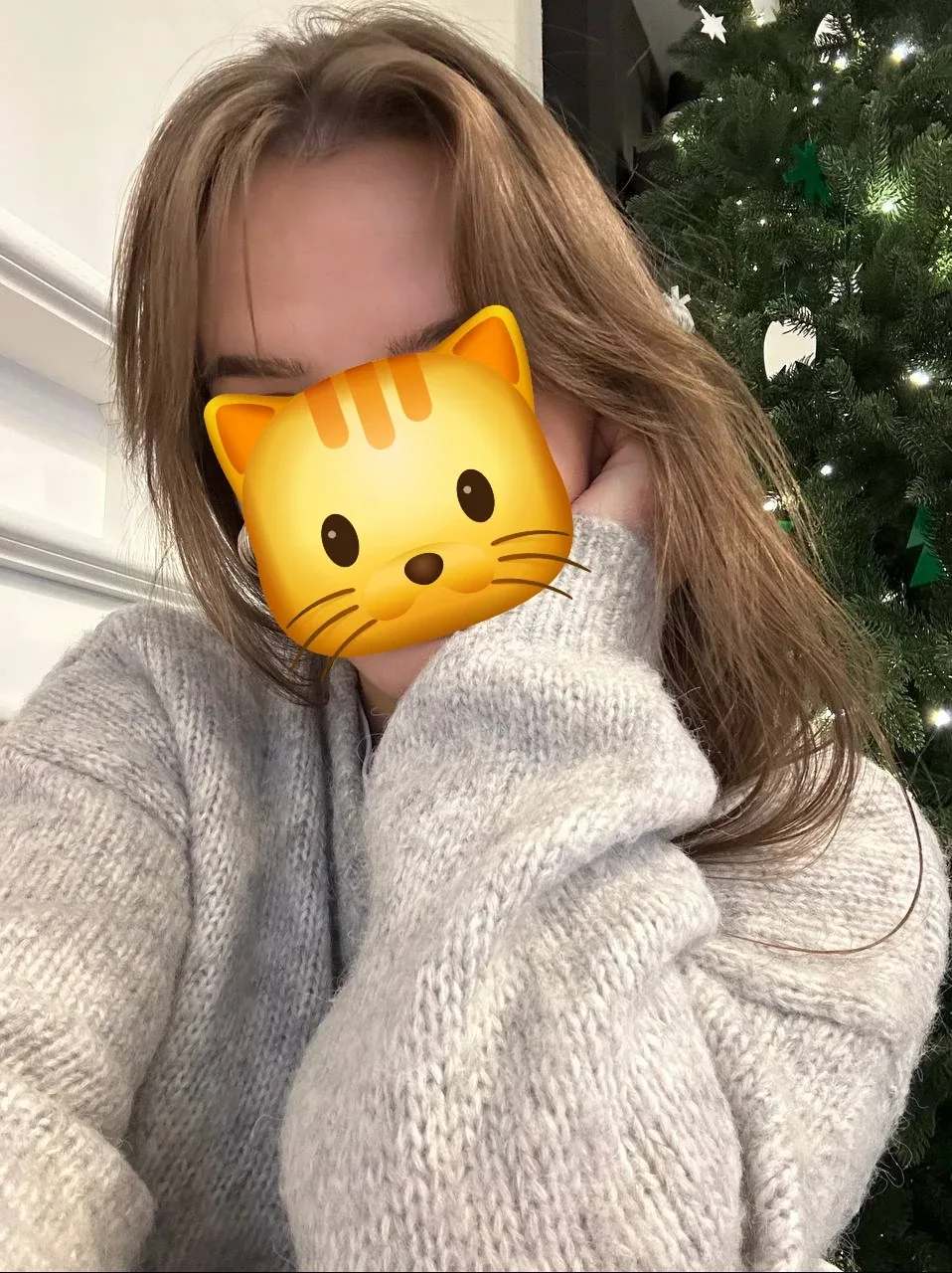 냐오옹