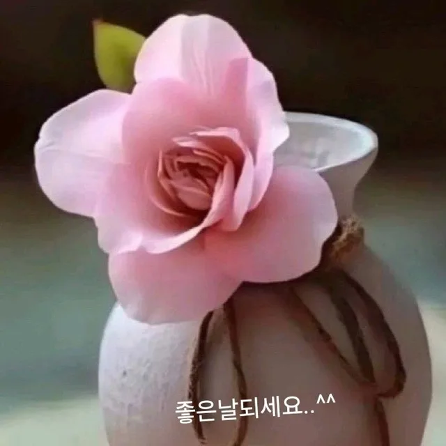 복수박