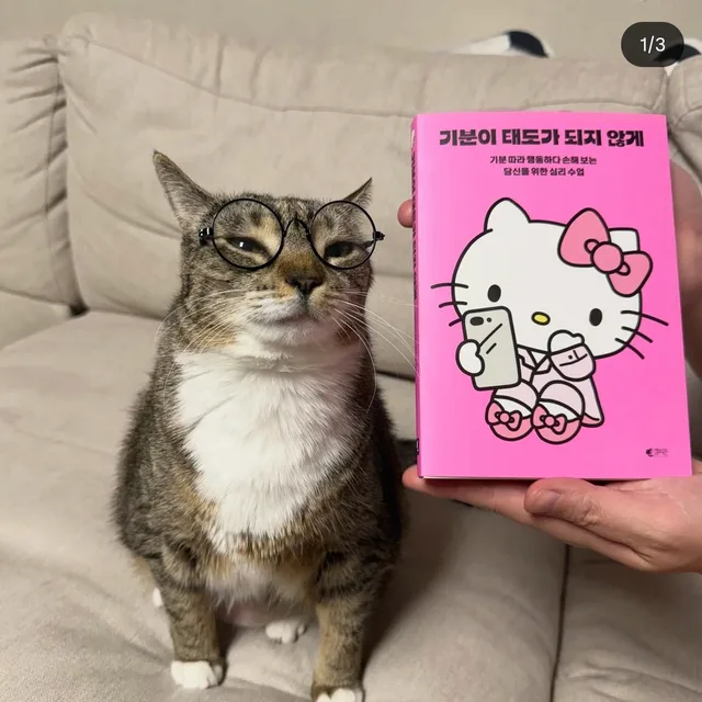 교촌허니