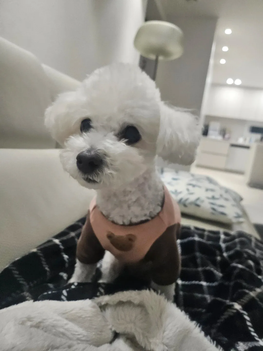 오드리