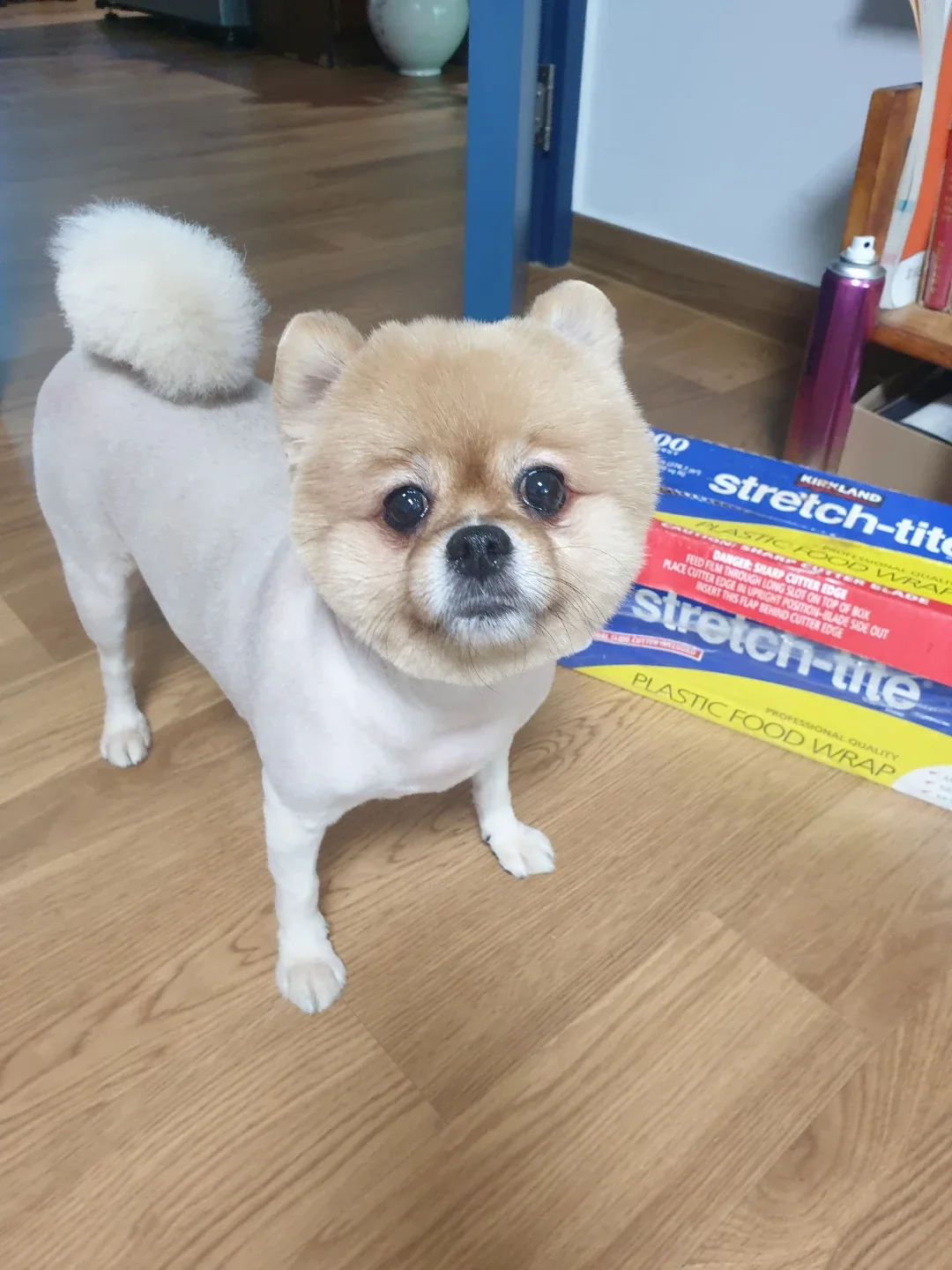 신사