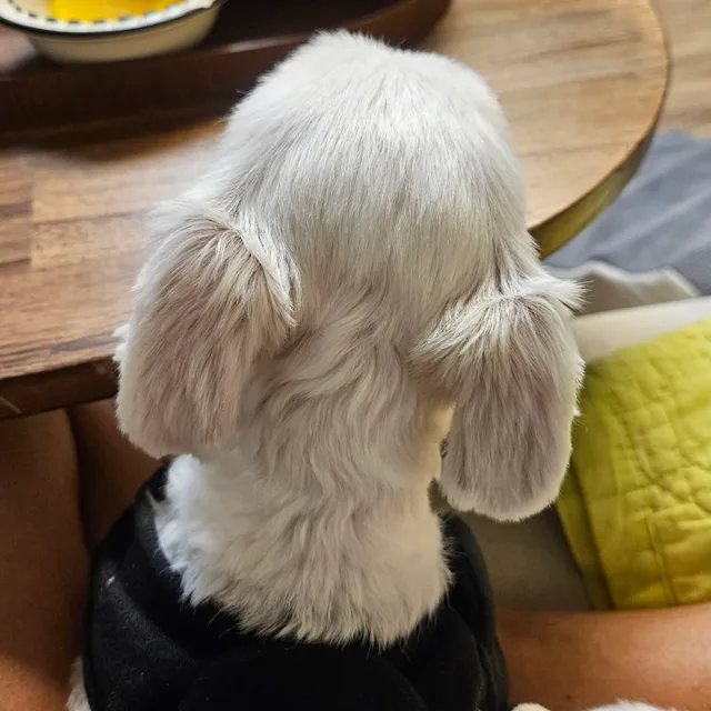 profile
