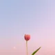 사놓고정리중