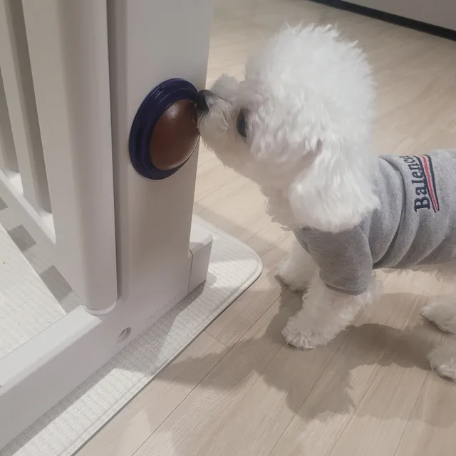 썬삐