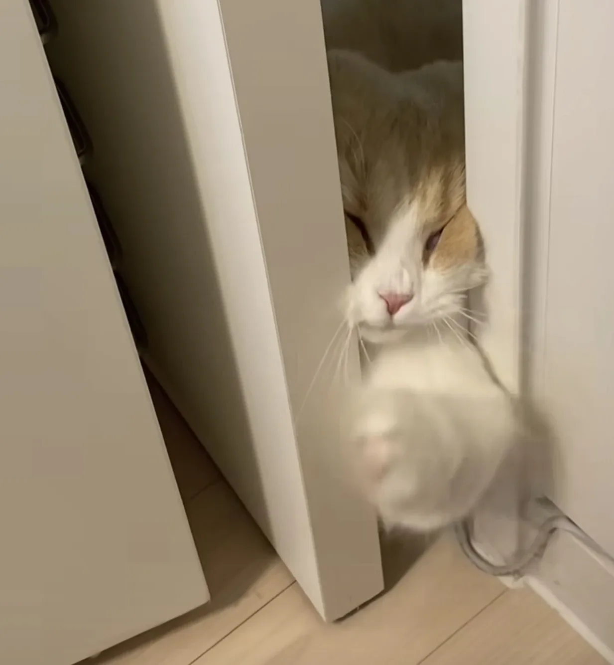 안녕