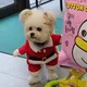 당근이오