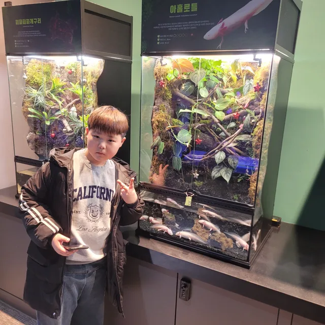 청아한