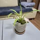 하늘