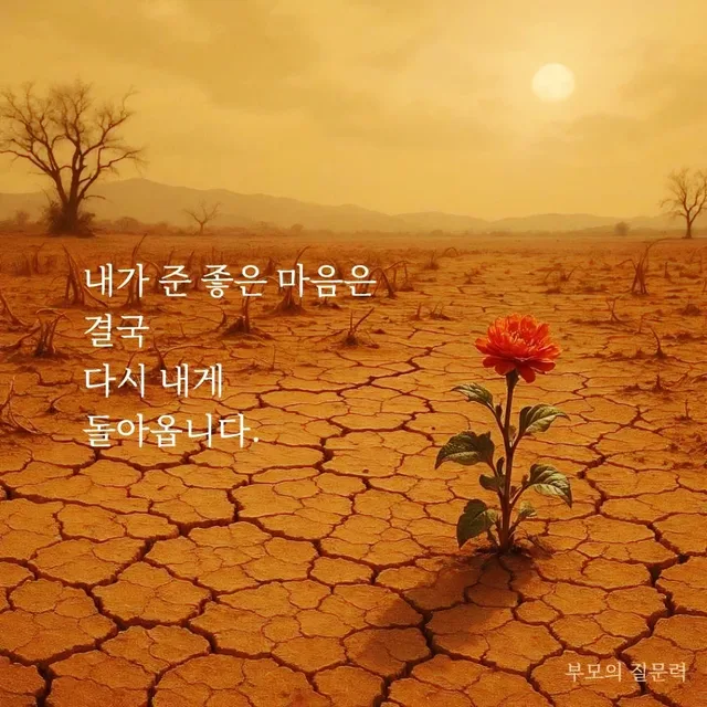 조은데이