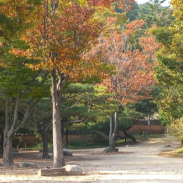 땅콩스넥