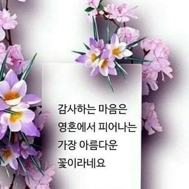 낚시힐링