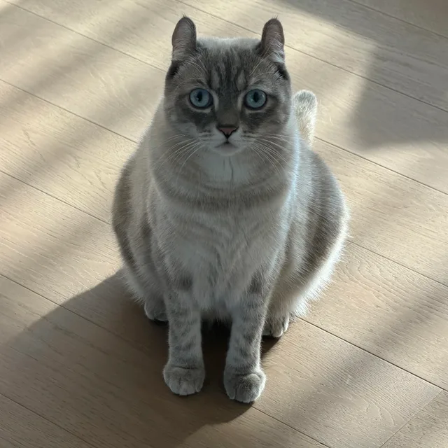 깜까미