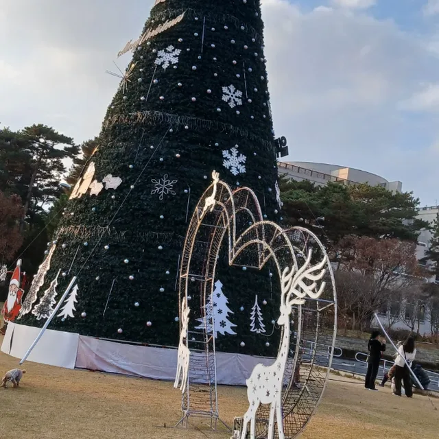 라일락향기택배안해요