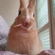 은광이
