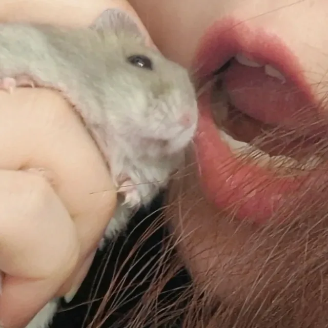 먕먀먀