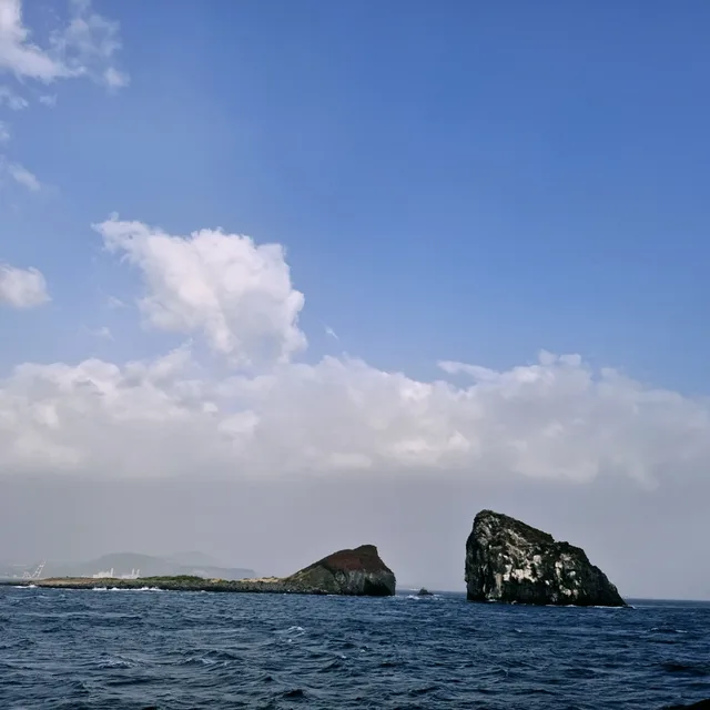 메밀꽃