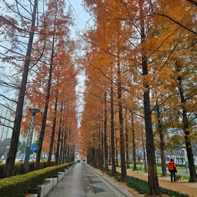 이쁜여우의류