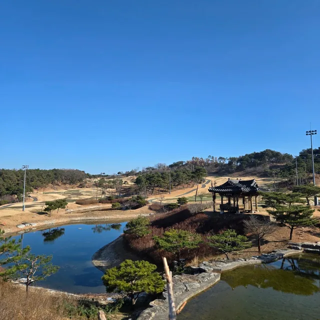 쥬야