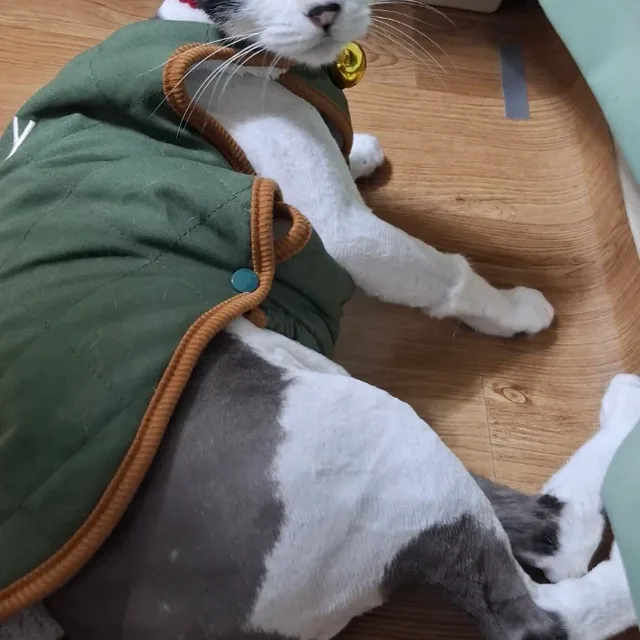 아이셋맘