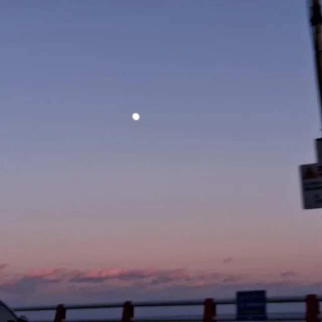 월하