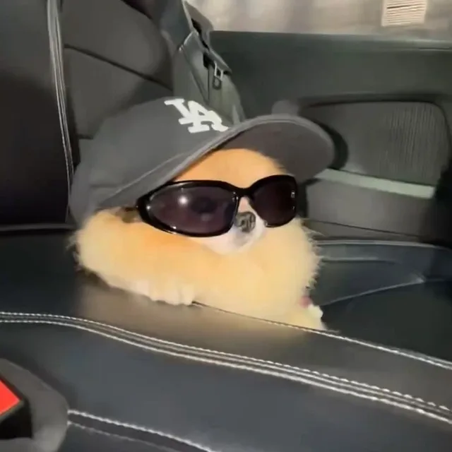 바뮤즈씨