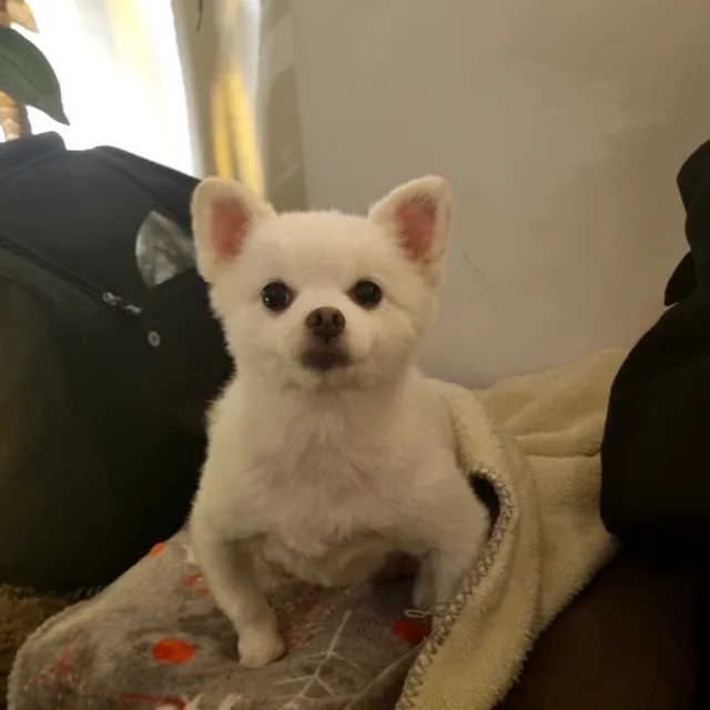 충주연합