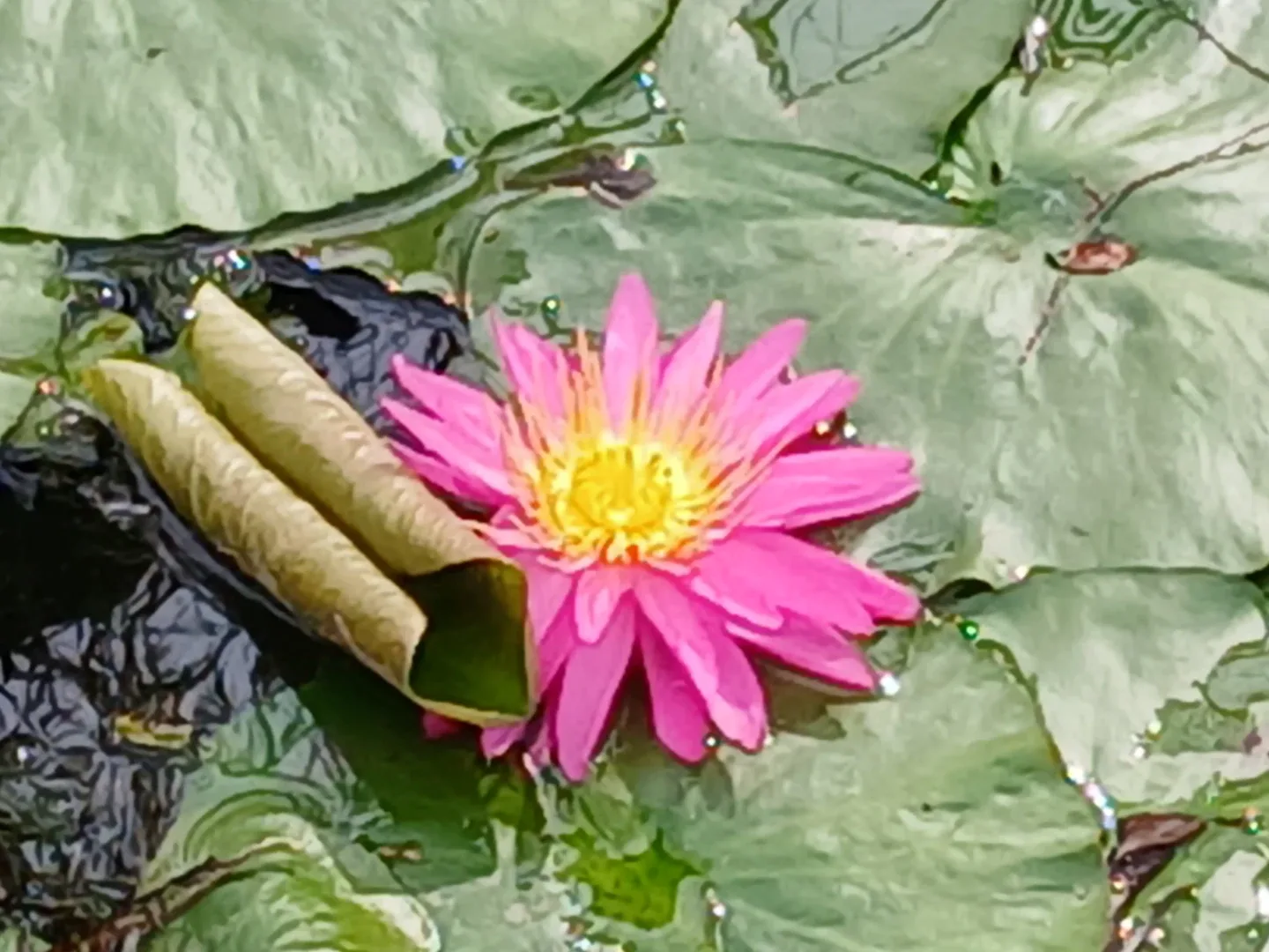 바다