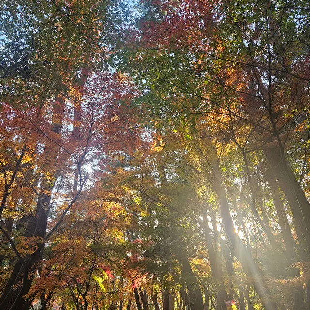 당근산책