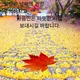 주현미