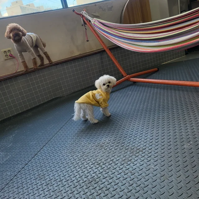 다함께화이팅
