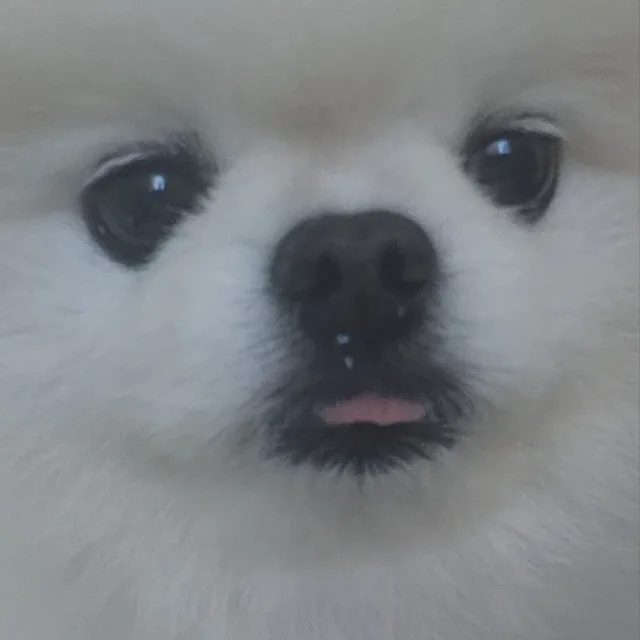 당근추천합니다