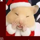 룰루냥