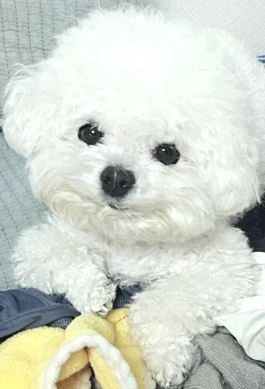 당당당근근근