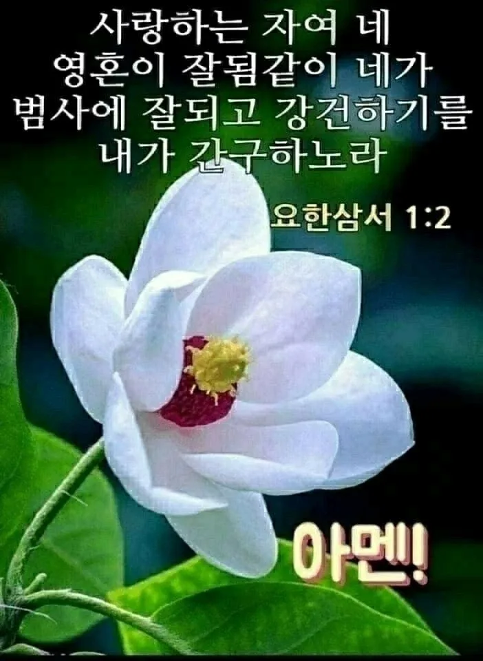 솔향기