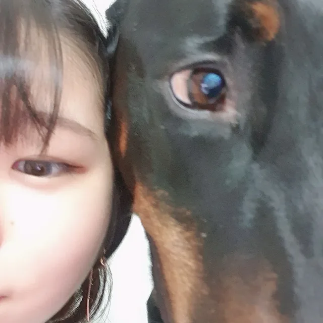 김티탐