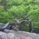 겨울이