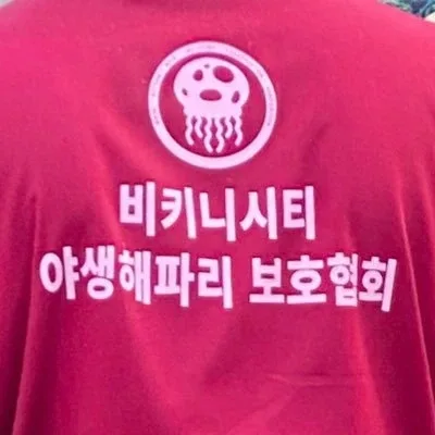 야생해파리