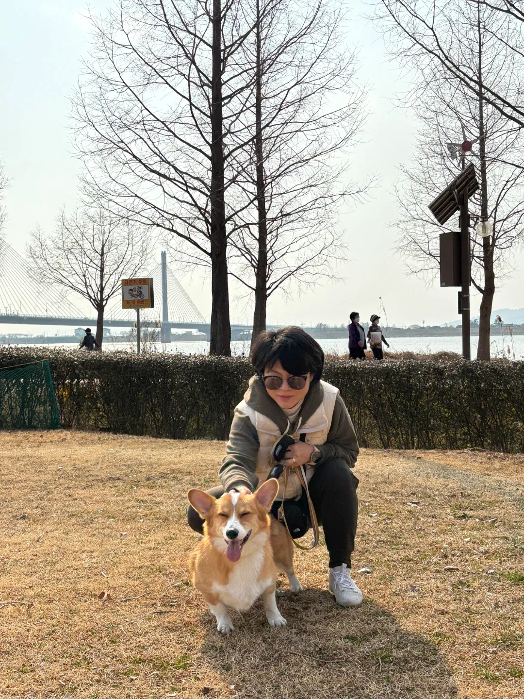 단단이71