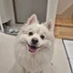 만들곰