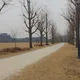 당근이지