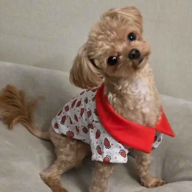 동천당근맘