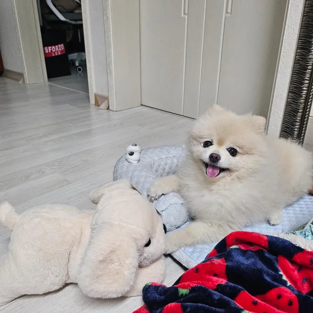 경이