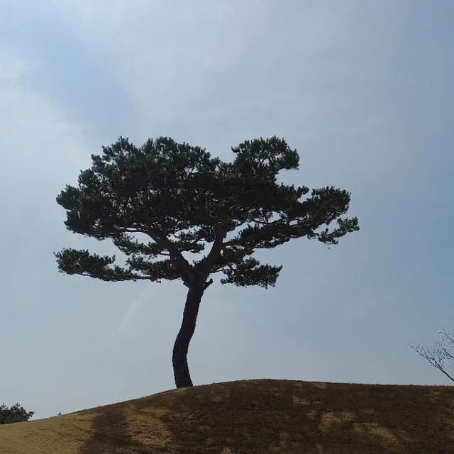 둥글게살자50덕계리남
